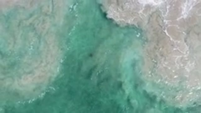 LOS CABOS MEXICO-2020: An Amazing And Beautiful Ocean