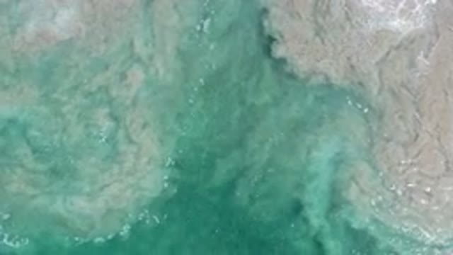 LOS CABOS MEXICO-2020: Blue Green Lake With A School Of Fish