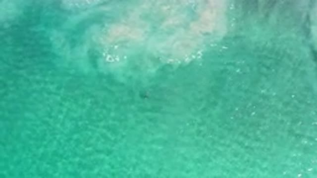 LOS CABOS MEXICO-2020: Amazing Scene of a Green Sea Relaxes Me
