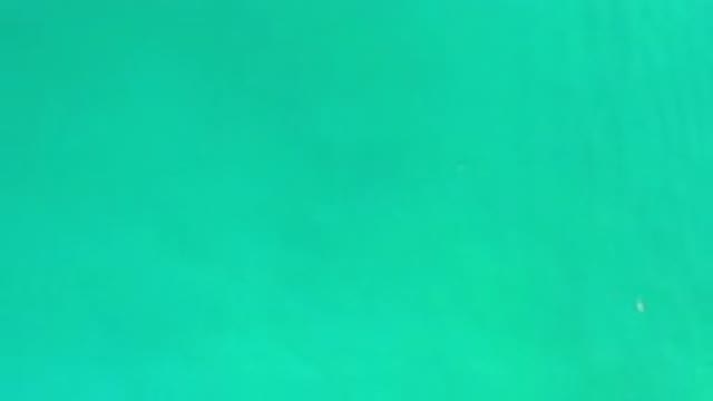 LOS CABOS MEXICO-2020: Green Sea All Over