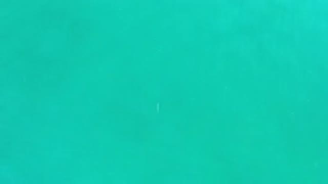 LOS CABOS MEXICO-2020: Small Object Floating in Rippling Waves in Large Body of Water