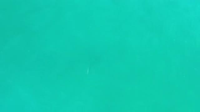 LOS CABOS MEXICO-2020: Slowly-Moving Turquoise-Green Waves Gently Rolling