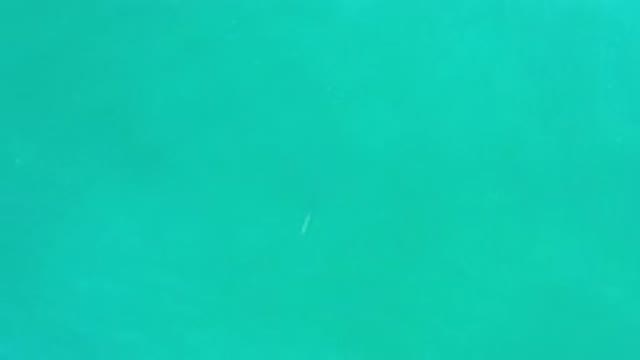 LOS CABOS MEXICO-2020: Turquoise Warm Water With One Lone Object Floating