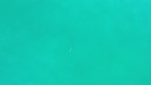 LOS CABOS MEXICO-2020: Green And Deep Water With Light Waves And A White Spotted Fish