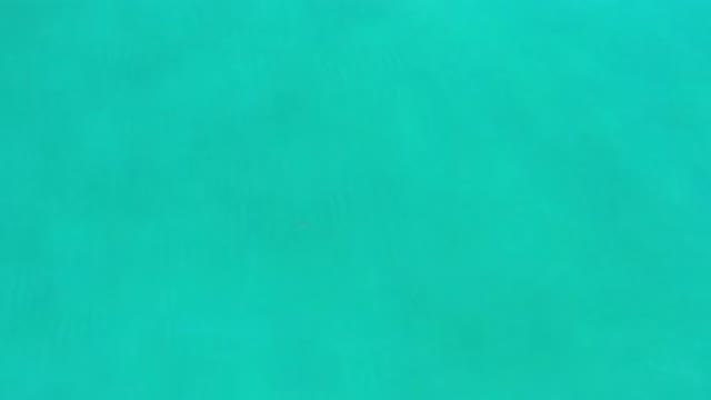 LOS CABOS MEXICO-2020: Big Whale Seen Deep Below Rippling Green Waves Of The