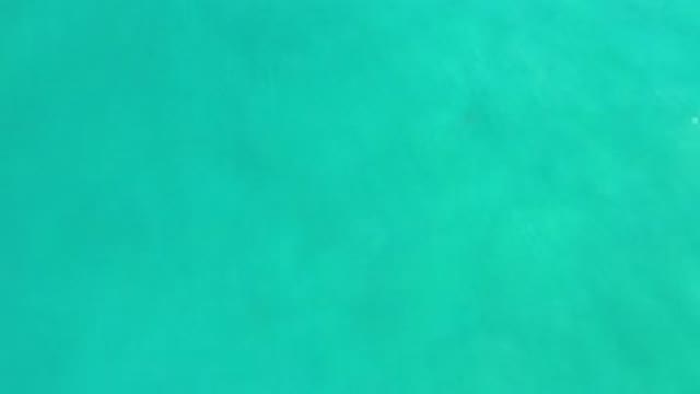 LOS CABOS MEXICO-2020: Clearest Green Sea He Has Seen in Los Cabos