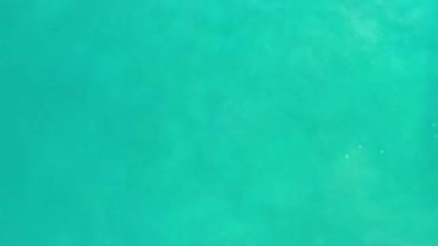 LOS CABOS MEXICO-2020: A Beautiful Landscape Of Green And Transparent Waters Of