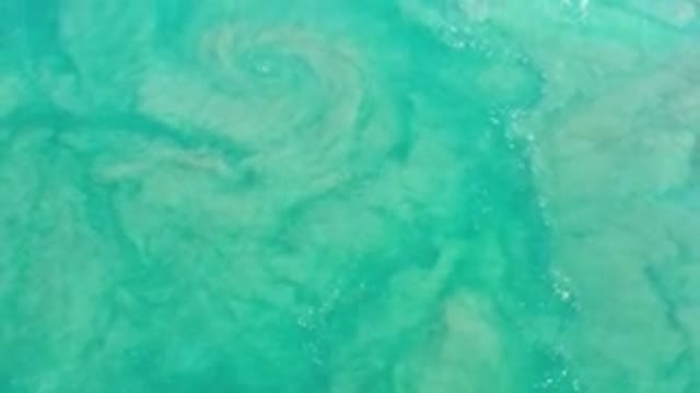 LOS CABOS MEXICO-2020: Amazing Green Sea in View