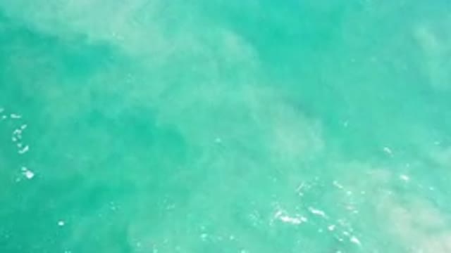 LOS CABOS MEXICO-2020: Quiet & Peaceful Waves Of The Ocean