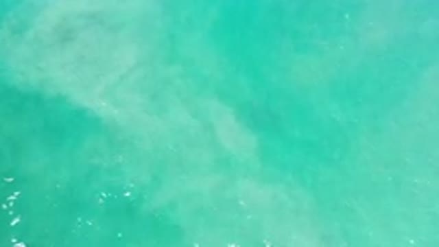 LOS CABOS MEXICO-2020: Green Ocean Water On A Clear Sunny Day