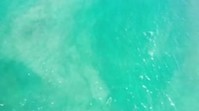 LOS CABOS MEXICO-2020: Rolling Waves In A Green Ocean