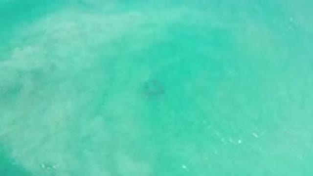 LOS CABOS MEXICO-2020: A Shallow Calm Turquoise Sea With Surface Mist And Sun