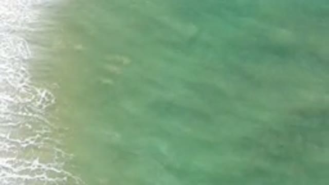 LOS CABOS MEXICO-2020: Elegant Seashore I Have Ever Seen