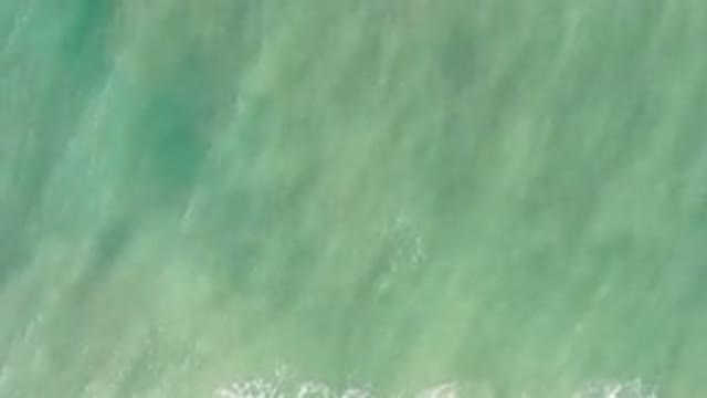 LOS CABOS MEXICO-2020: The Peace of a Wave in a Blue Ocean