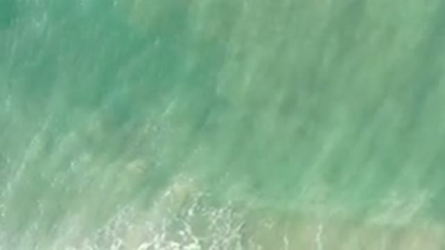 LOS CABOS MEXICO-2020: The Lovely Waves Are Coming Into Shore