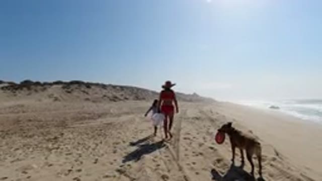 LOS CABOS MEXICO-2020: Mother Daughter And Dog Walking On The Beach And Playing