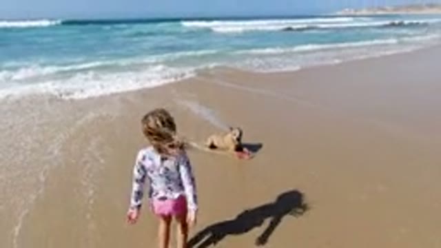 LOS CABOS MEXICO-2020: A Girl and Dog Playing on the Beach