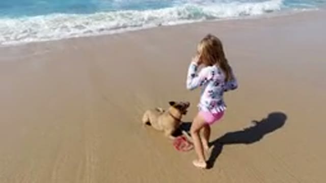 LOS CABOS MEXICO-2020: Great Day At The Beach For The Girl And Her Dog