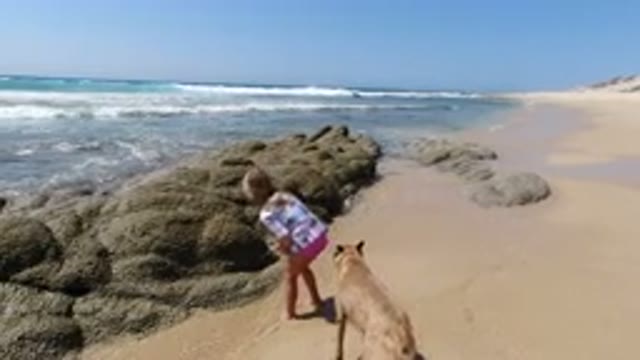 LOS CABOS MEXICO-2020: Family Vacation with Kids and Pets at the Beach