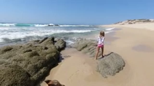 LOS CABOS MEXICO-2020: Walking Along The Shore With Daughter And Dog