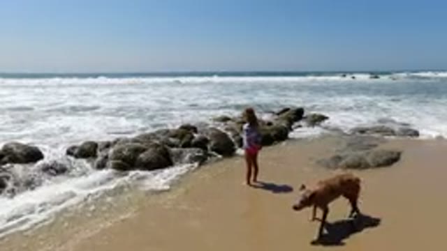 LOS CABOS MEXICO-2020: Small Child On The Shore With His Dog Watching The Waves