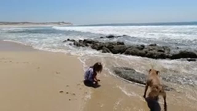 LOS CABOS MEXICO-2020: Young Girl Playing At Beach With Sand And Her Dog Is