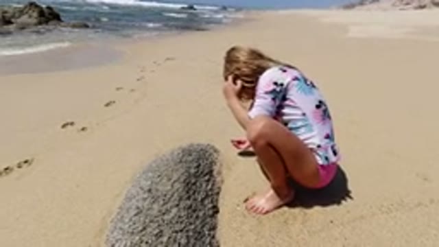 LOS CABOS MEXICO-2020: Young Girl Playing With Shells At The Beach Near The Shore