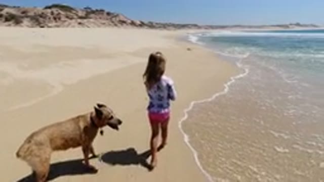LOS CABOS MEXICO-2020: A Dog And A Kid Walking On The Shore Of The Ocean
