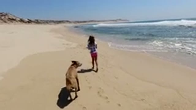 LOS CABOS MEXICO-2020: A Little Girl And A Dog Walking Through A Beautiful
