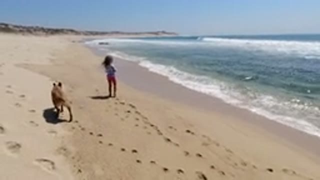 LOS CABOS MEXICO-2020: A Child And A Dog Play Near The Sea On A Sunny Beach