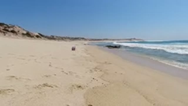 LOS CABOS MEXICO-2020: A Beautiful Side View Of A Long Beach And Gentle Waves To