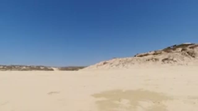 LOS CABOS MEXICO-2020: Cara Going In Circle Looking At The Desert