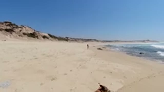 LOS CABOS MEXICO-2020: Young Girl And Her Dog Roaming On Sand At Sea Shore