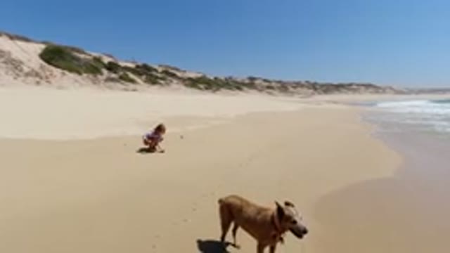 LOS CABOS MEXICO-2020: A Young Girl With A Dog Finds Something Of Interest On A
