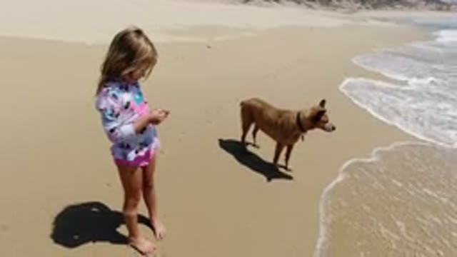 LOS CABOS MEXICO-2020: A Girl And Her Dog Play In The Waves At The Beach On A