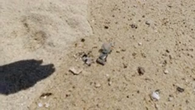 LOS CABOS MEXICO-2020: Sprinkling Sand on Rocks at the Beach