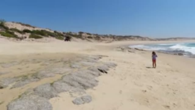 LOS CABOS MEXICO-2020: Woman Standing On The Beach As The Waves Roll In And A Vehicle Moves