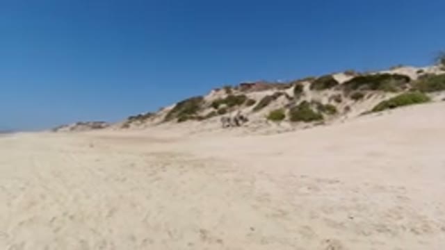 LOS CABOS MEXICO-2020: Peaceful Seashore in Los Cabos
