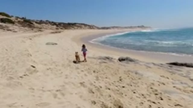LOS CABOS MEXICO-2020: Young Girl And Dog Walk But Then Stop On A Sloped Beach