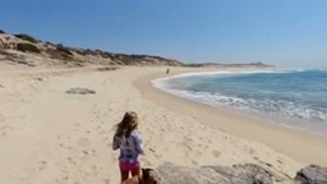 LOS CABOS MEXICO-2020: Motorcycle Riding Toward a Girl and Dog on a Sandy Beach