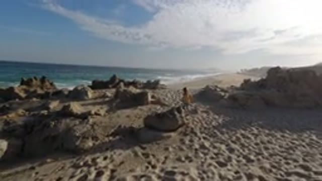 LOS CABOS MEXICO-2020: Young Explorer Finding Her Passion For Adventure And Nature