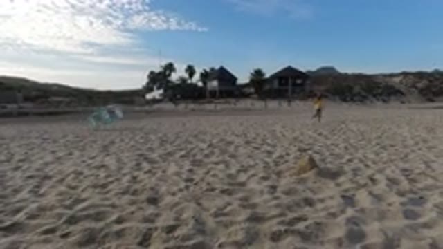 LOS CABOS MEXICO-2020: A Child Runs Free on the Beach in Wild Nature