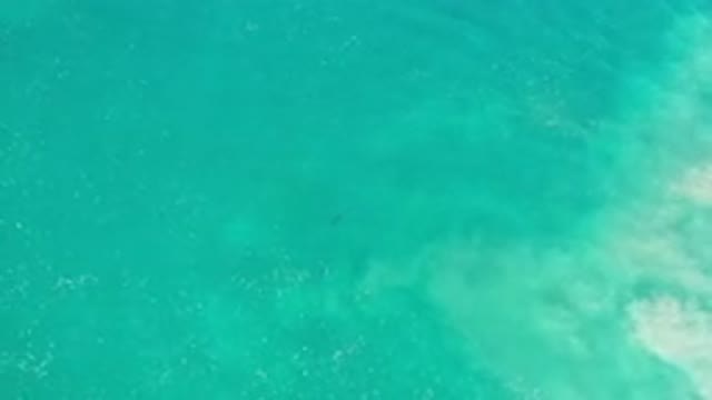 LOS CABOS MEXICO-2020: Sand Stirred At The Bottom Of An Emerald Green Ocean And