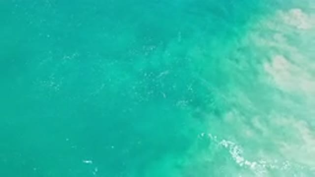 LOS CABOS MEXICO-2020: Beautiful And Clean Sea Wave Best For Swimming And