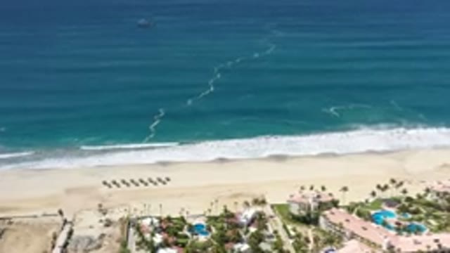 LOS CABOS MEXICO-2020: Delightful Quiet Beach Resort Relaxing Waves Warm Sand