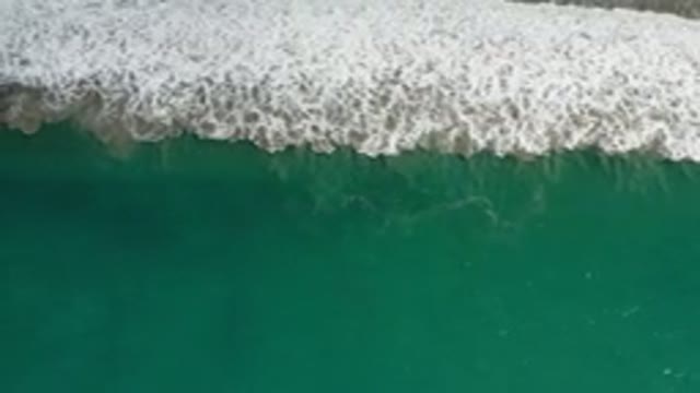LOS CABOS MEXICO-2020: All and Wonderful Day by the Beach