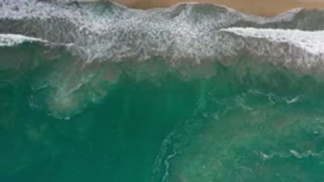 LOS CABOS MEXICO-2020: An Overview Footage Of The Side Of A Beach Mostly Green