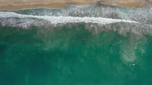 LOS CABOS MEXICO-2020: Live The Wonderful Day in Mexico By The Beach