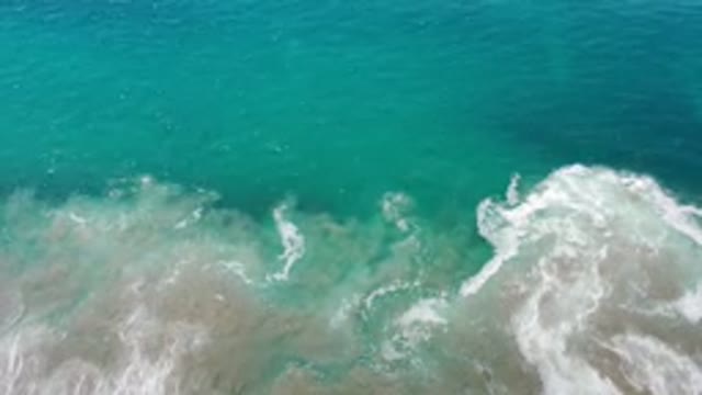 LOS CABOS MEXICO-2020: Just Another Wonderful Day by the Beach