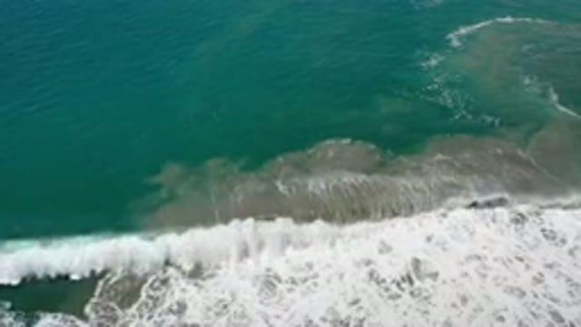 LOS CABOS MEXICO-2020: Experience The Wonderful Day in Mexico By The Beach